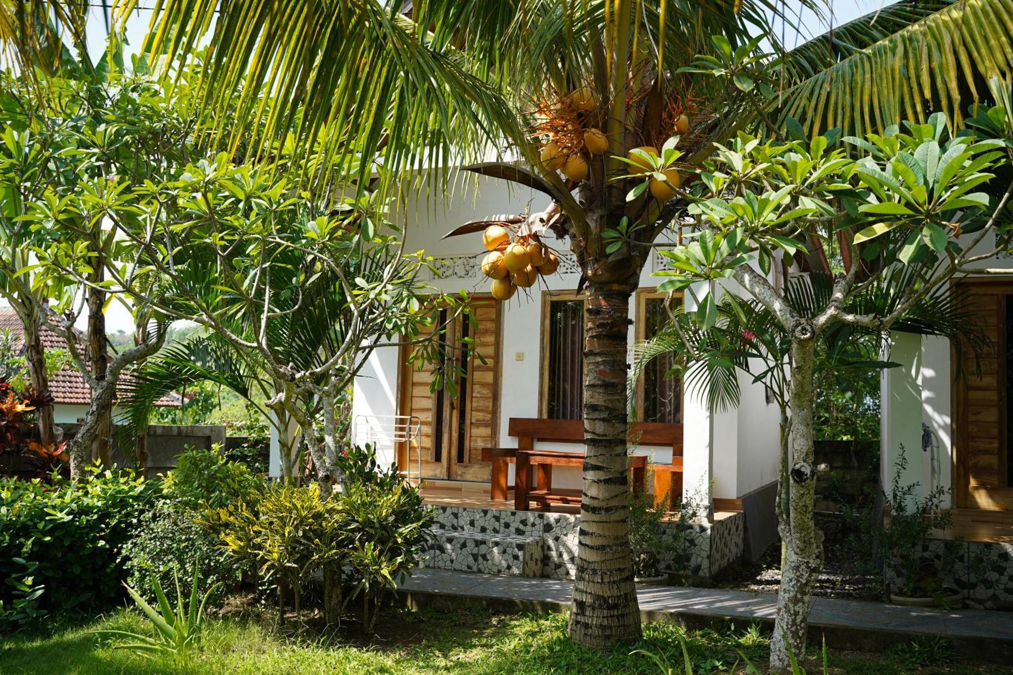 Wahyu Masari Homestay Sakti Ngoại thất bức ảnh