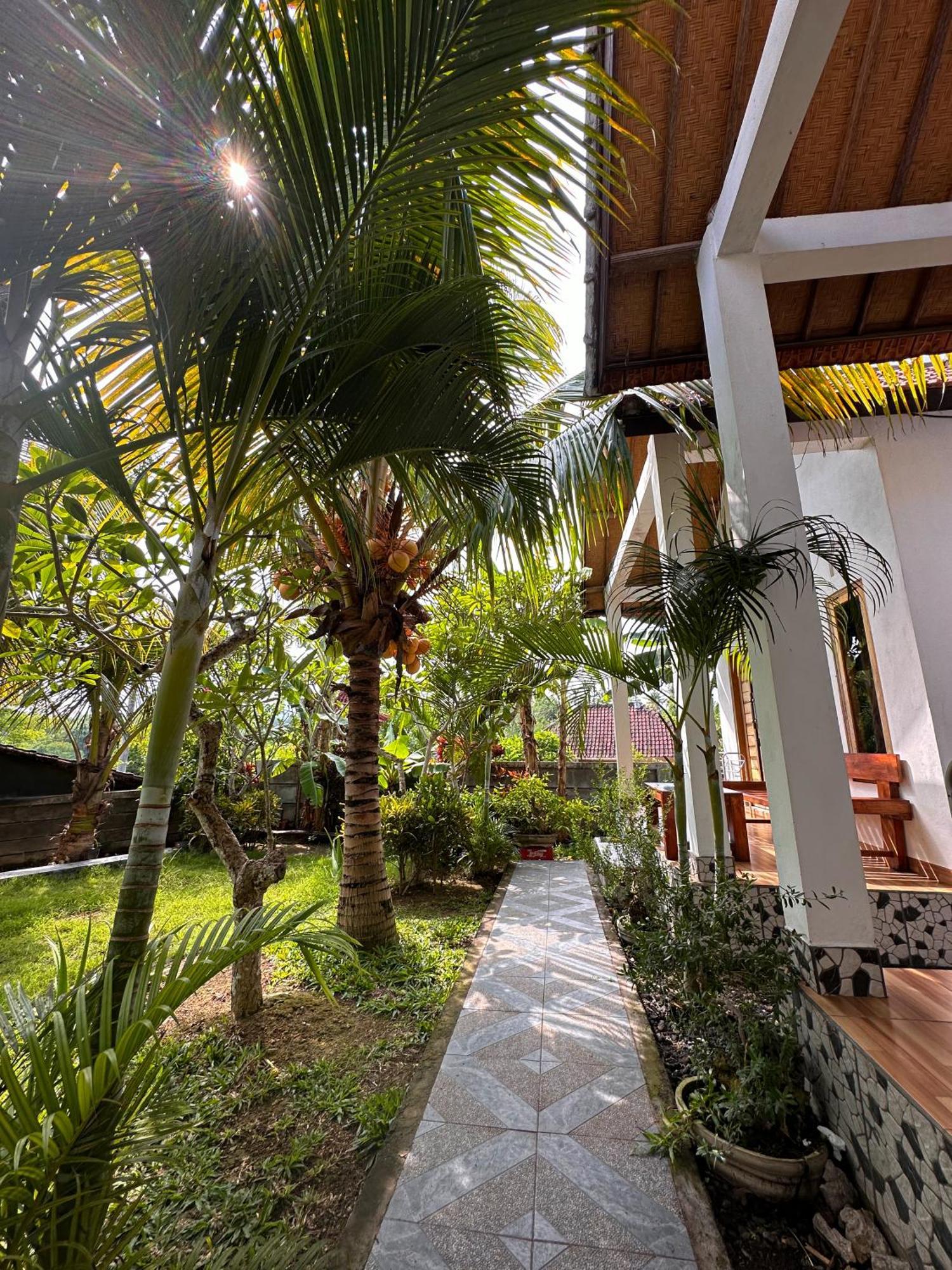 Wahyu Masari Homestay Sakti Ngoại thất bức ảnh