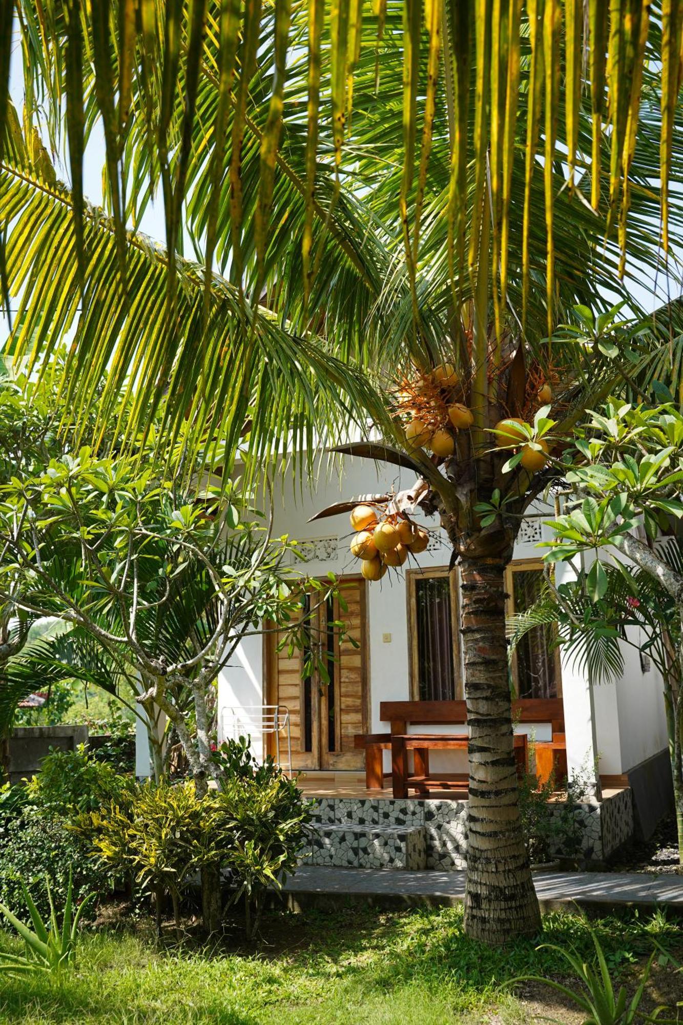 Wahyu Masari Homestay Sakti Ngoại thất bức ảnh